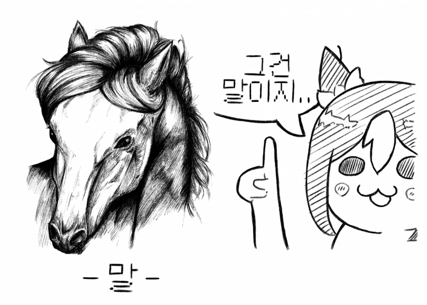 1월 부코 H37 일요일 첫 참가합니다