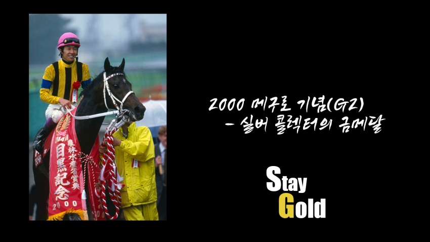핫산)2001 닛케이 신춘배 - 스테이 골드 / 스테고 세상