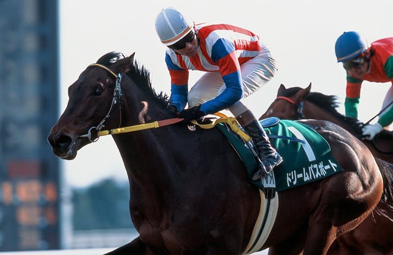핫산)2006 고베신문배 - 드림 패스포트 / 삼손, 려권내라우
