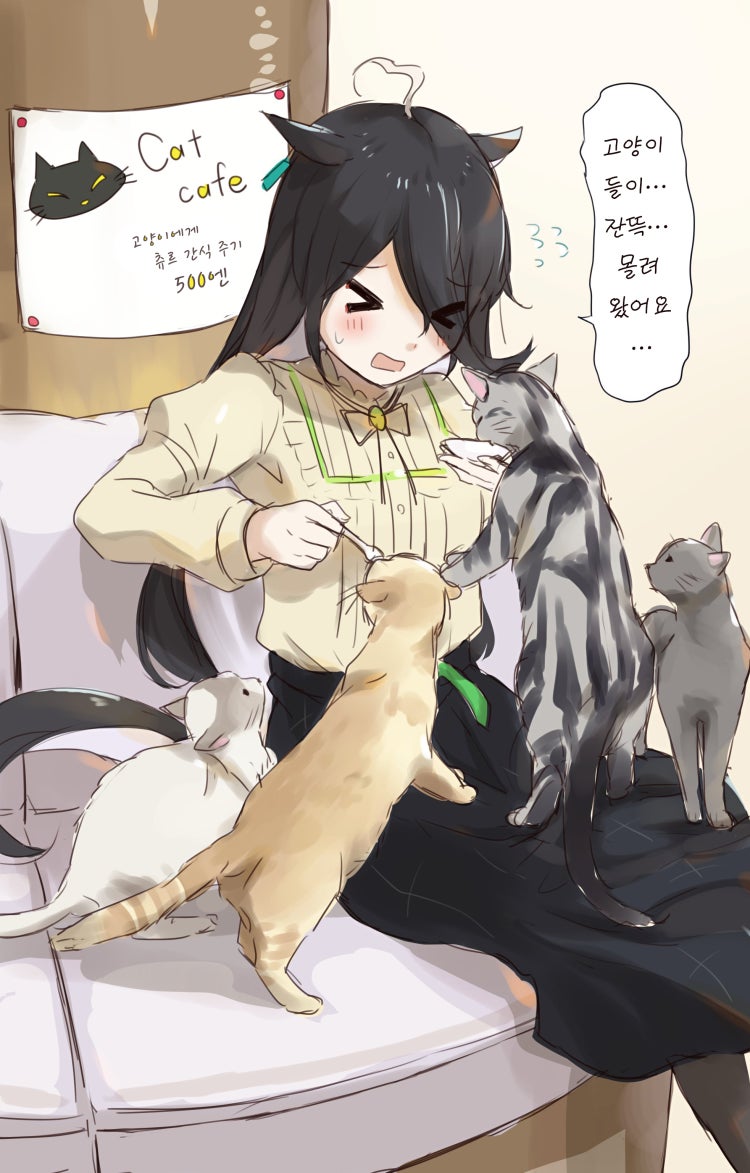 [らーむん] 캣카페에서 고양이들에게 포위된 카페.