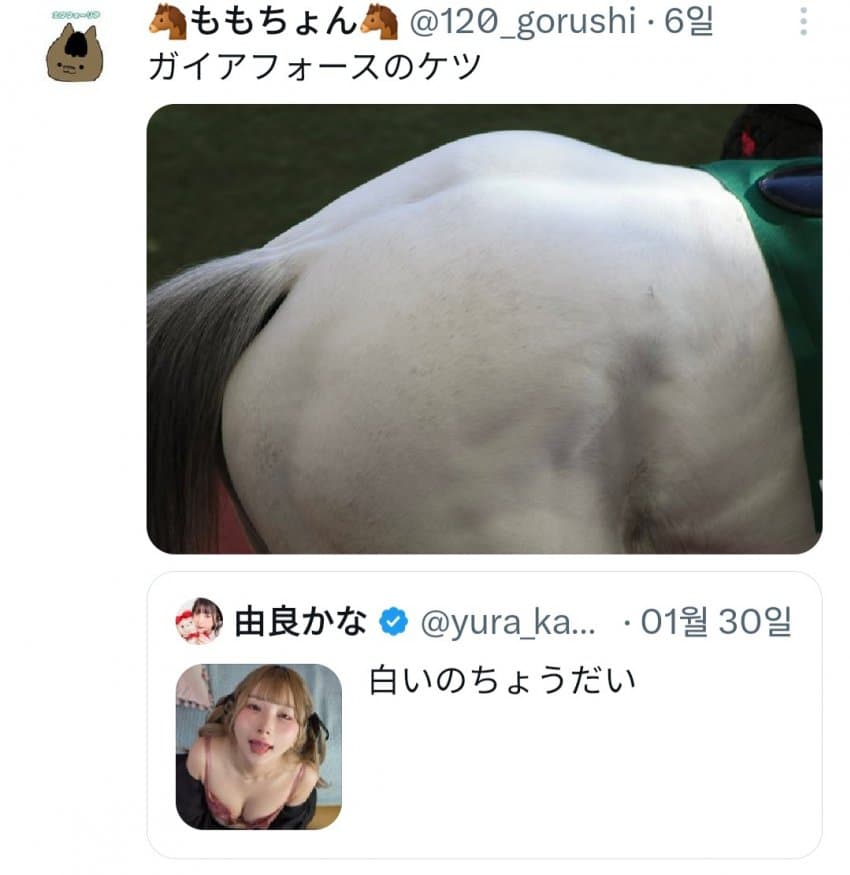 야짤계정 : "하얀거 주세여♡"