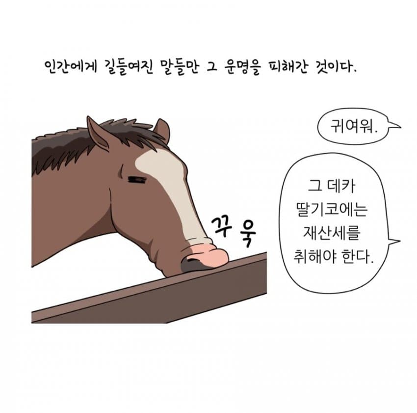 학습만화에 출연한 경주마 목록