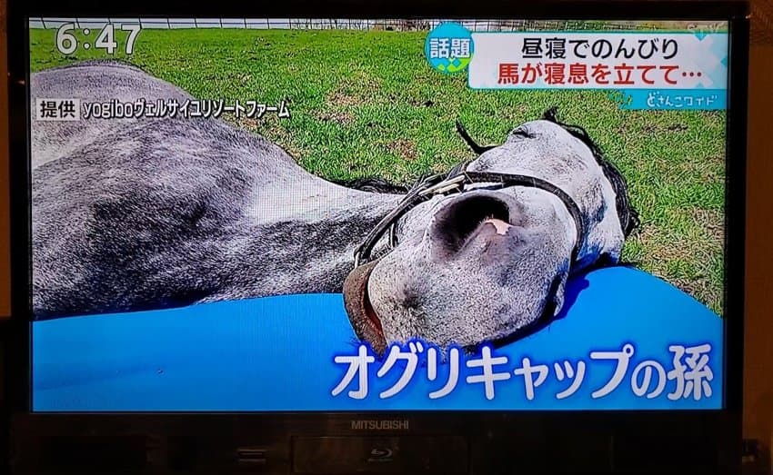 아이코 짤 3개만 뽑으라하면