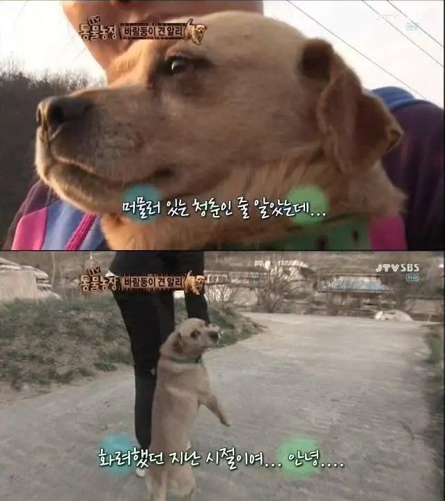 [괴문서/핫산] 퍼피가 학창 시절 때 성욕의 화신이었다고...?