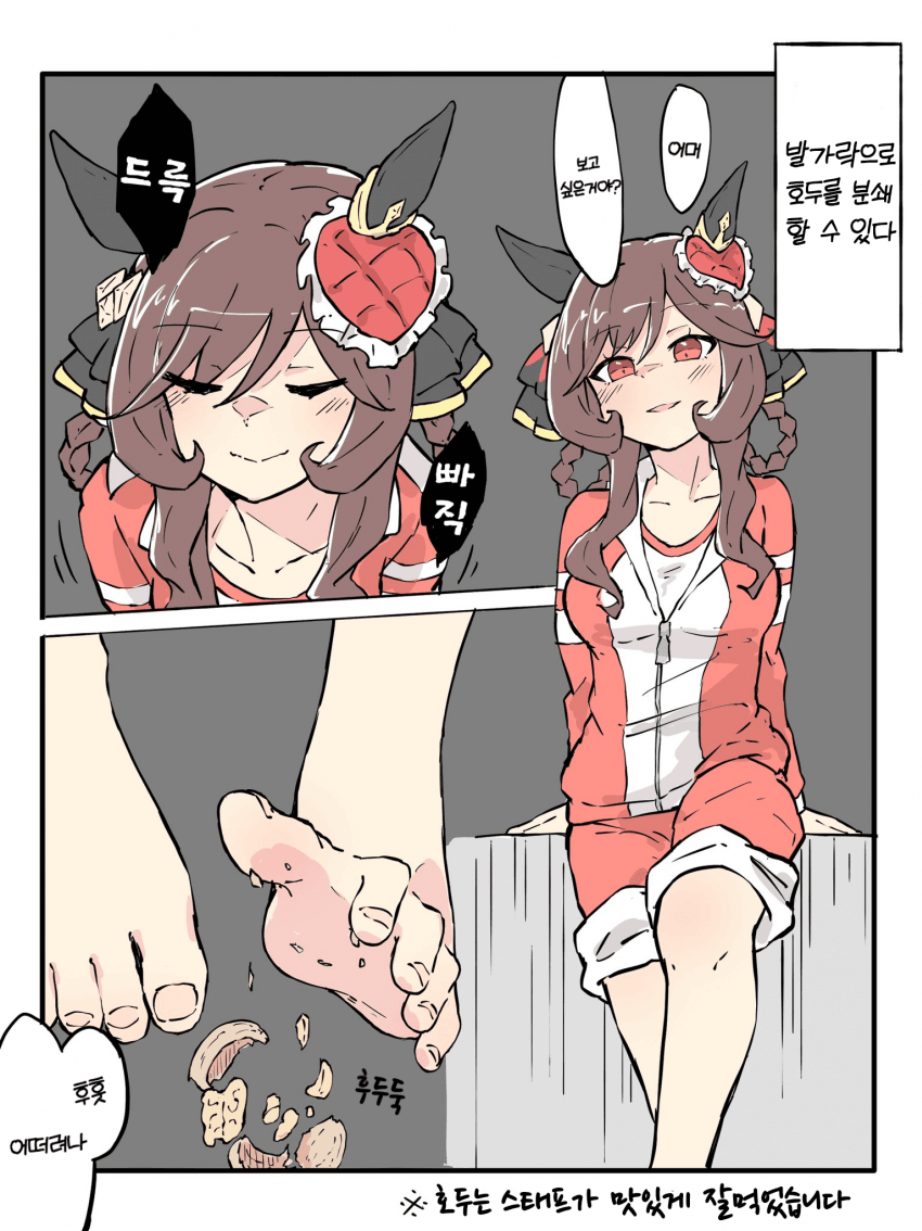 [ネコミミ好き之助] 젠틸돈나의 비밀