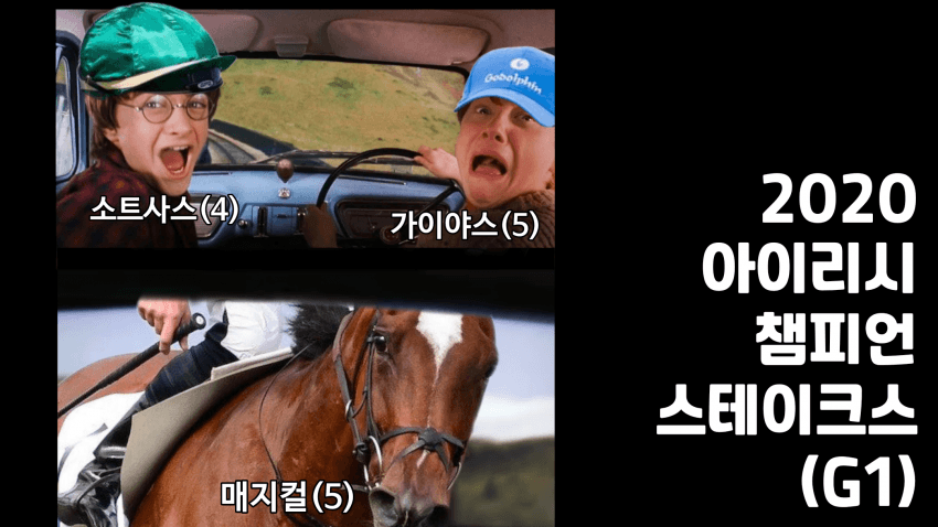 자기 전에 만든 다음 핫산 썸네일
