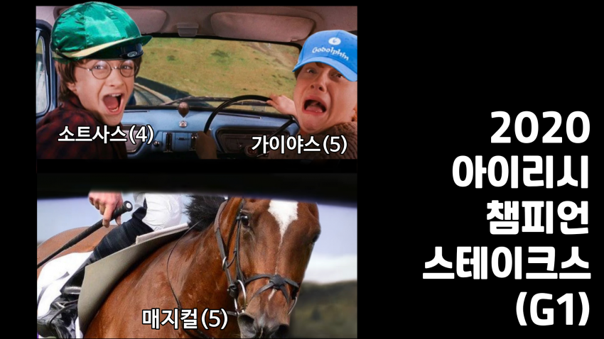 핫산)20 아이리시 챔피언S - 매지컬, 가이야스의 깃발을 끌어내리다