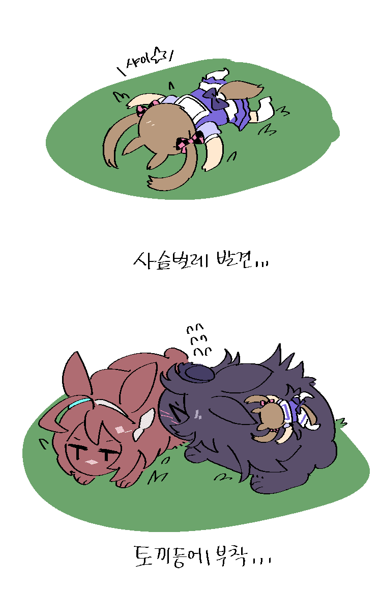 사슴벌레 발견...