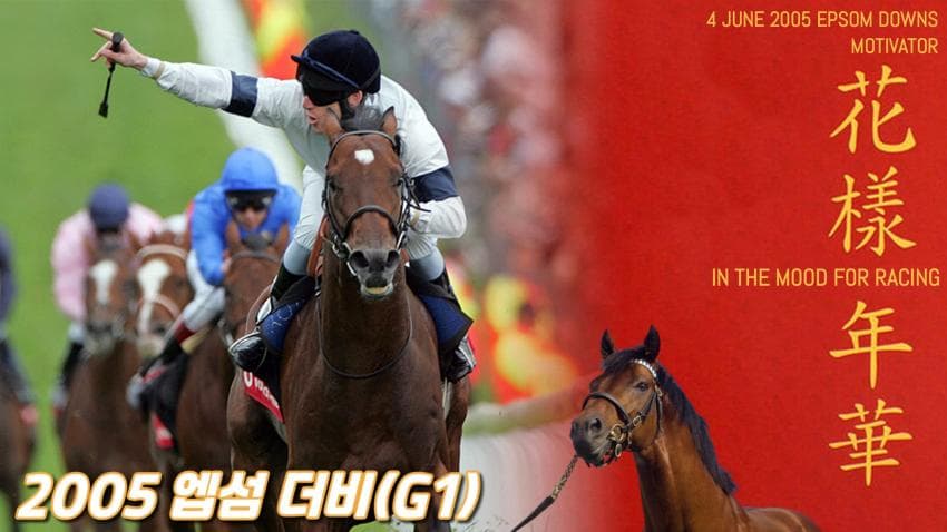 핫산) 2005 엡섬 더비 - 모티베이터 / 화양연화(花樣年華)