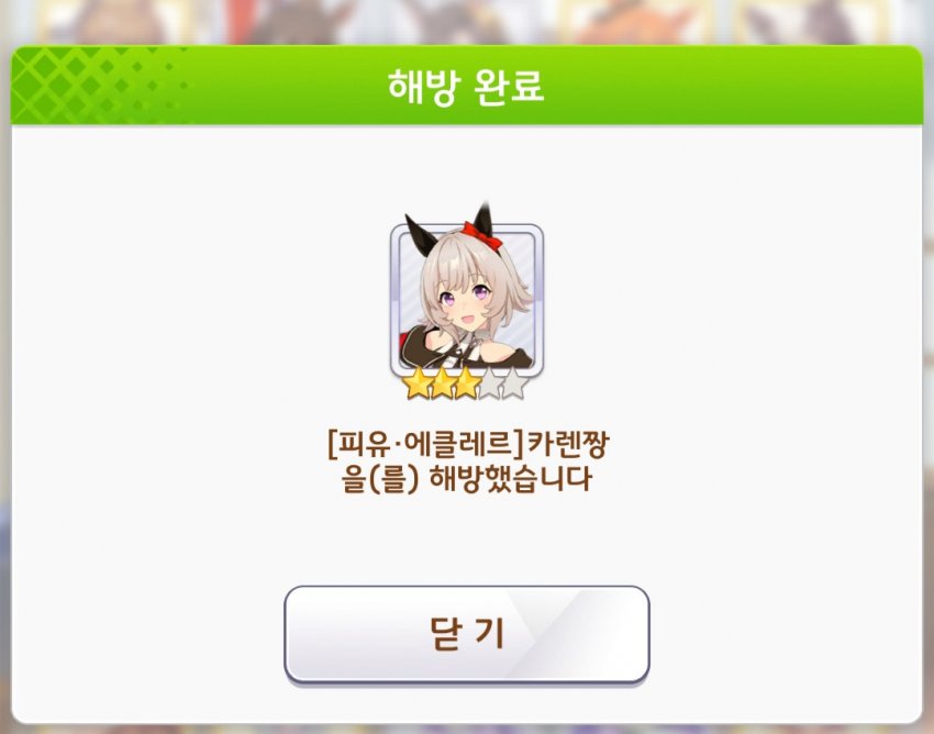 정가기념 폰그림