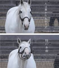 갤떡밥에 어울리는 짤 두개