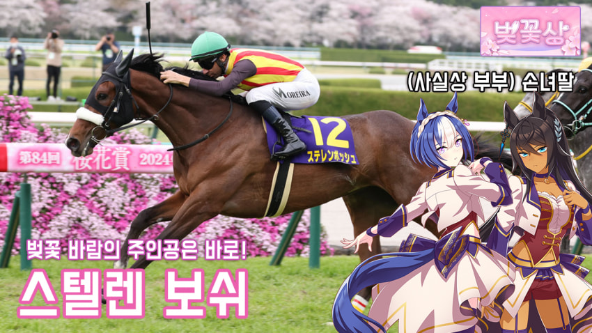 핫산) 스텔렌 보쉬 - 2024 오카상 「벚꽃의 히로인으로」