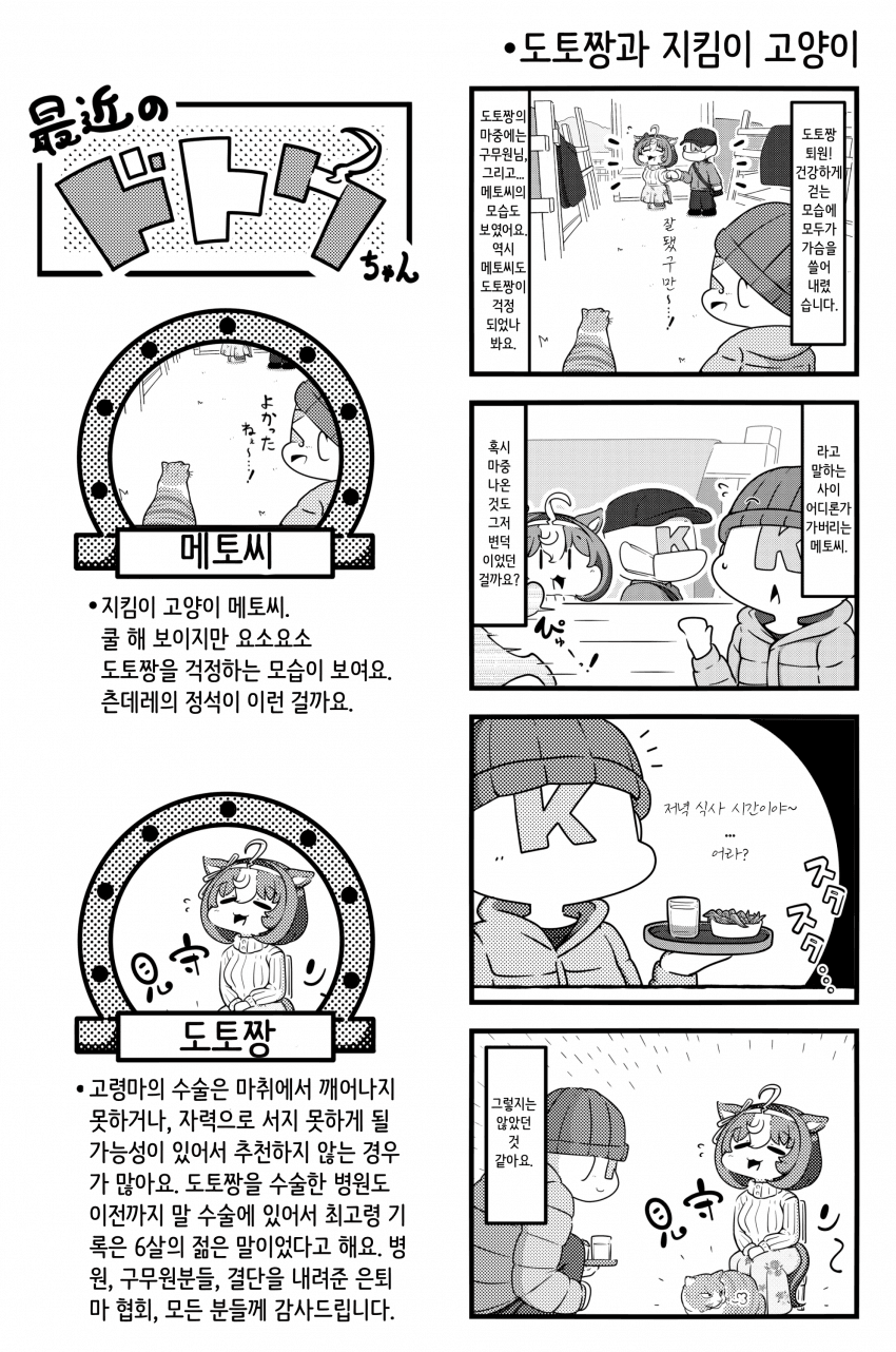 [末長] 도토짱의 근황 - 도토짱과 지킴이 고양이