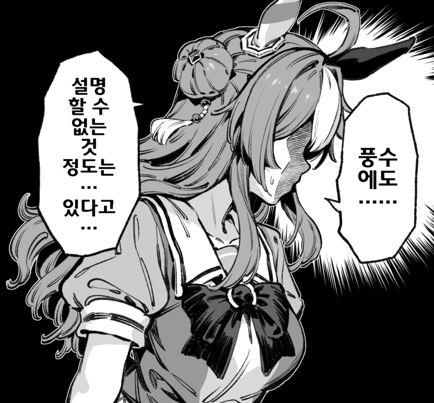 [バシウス]풍수에도...