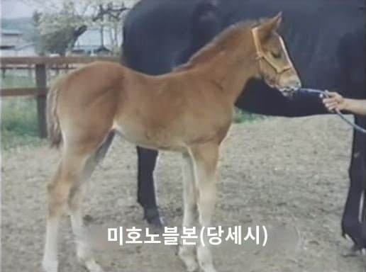 봉 생일 끝나가니까 로리봉 짤 올림 ㅋㅋ