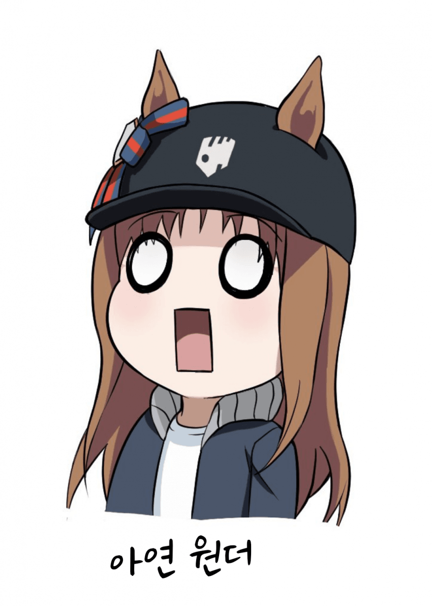 [預金通帳]아연 원더
