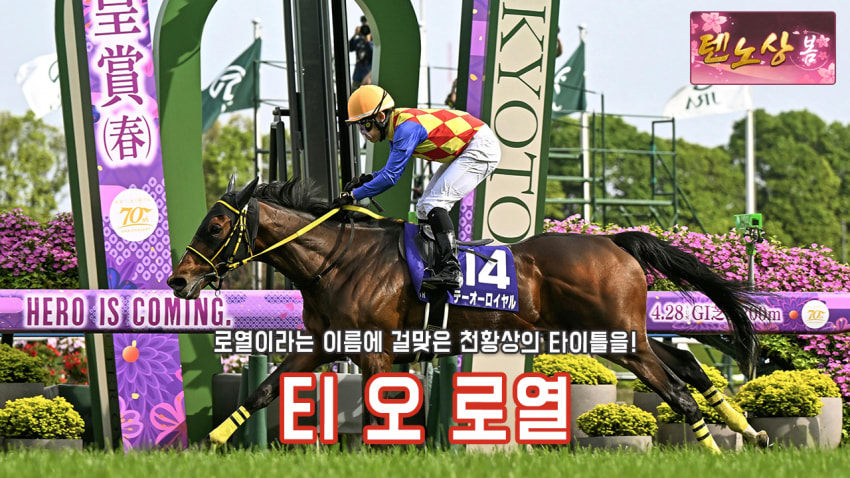 핫산) 티 오 로열 -'24 천황상 봄 「더 로열 스테이어」