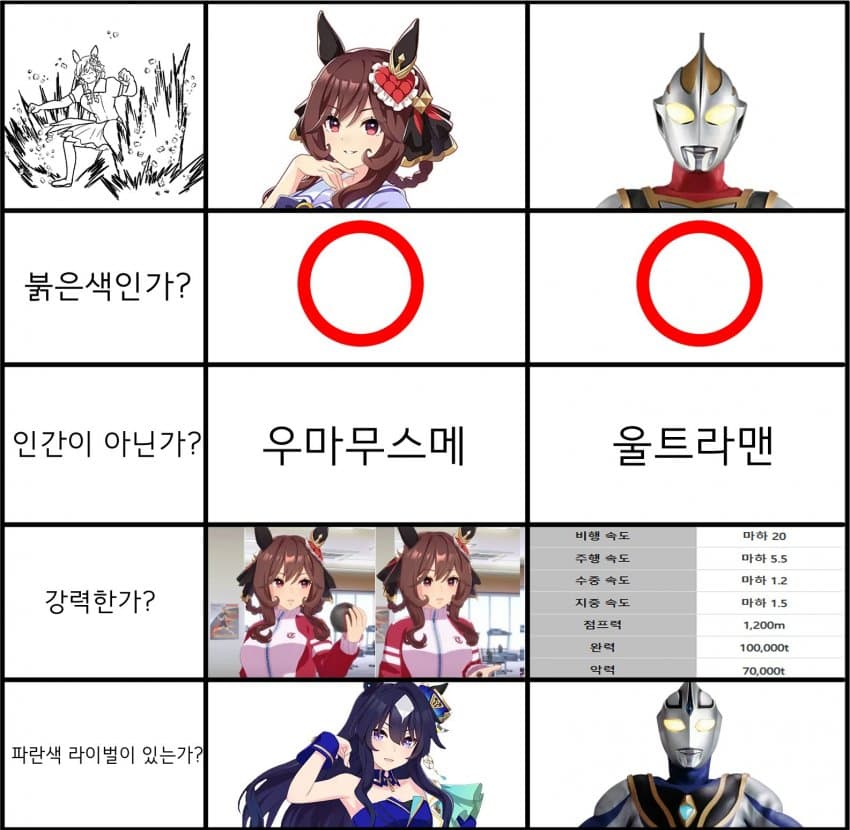 젠틸돈나의 정체