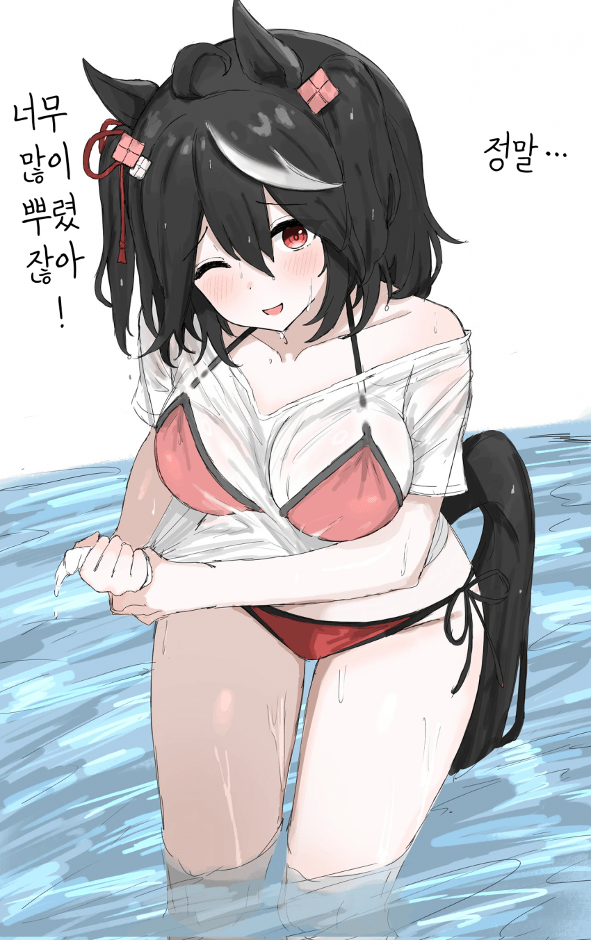 [くみやべ]물놀이 하는 키타산