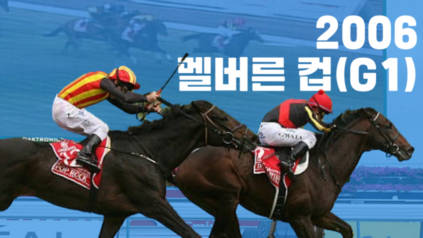 핫산) 2006 멜버른 컵 - 델타 블루스 / 일본마의 첫 남반구 G1