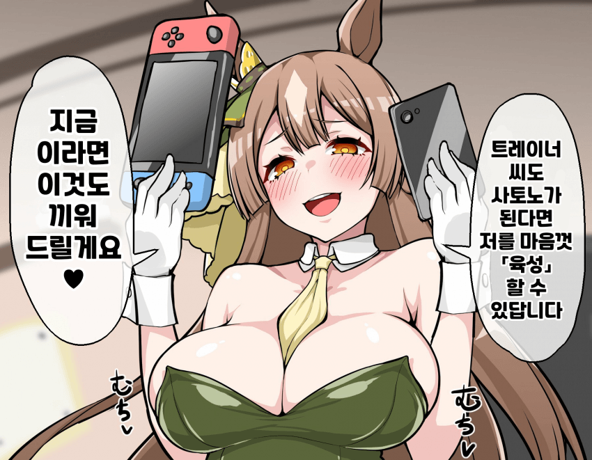 [もかわ](소프트는 only 세가 재품)
