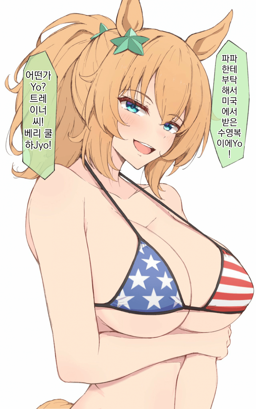 [あんず]성조기 비키니 타이키