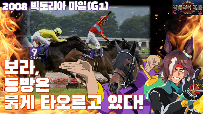 다음 경마 핫산 썸네일.png