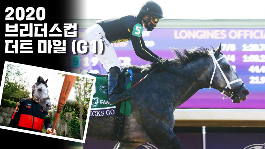 핫산) 20 브리더스컵 더트 마일 - 닉스고 / 와이어 투 와이어 레코드