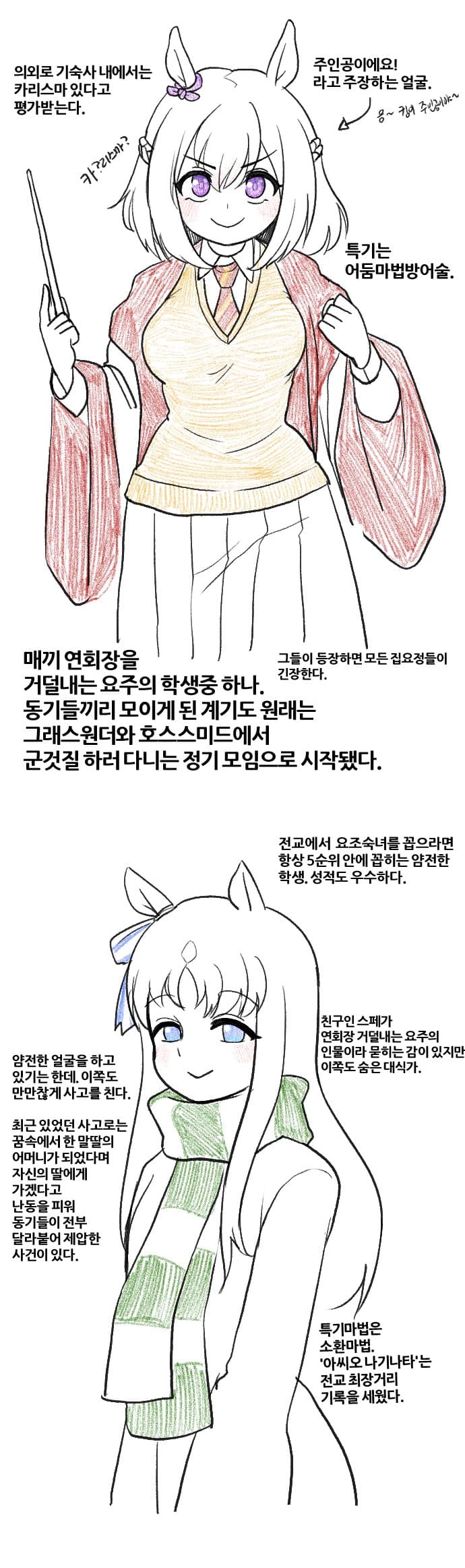 호스와트 망상 12