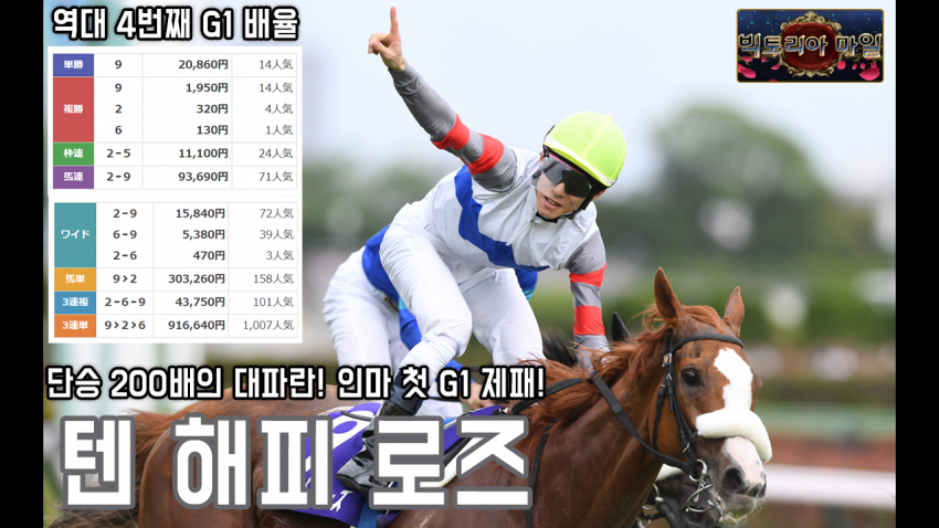 핫산) 텐 해피 로즈 - '24 빅토리아 마일 「대파란」
