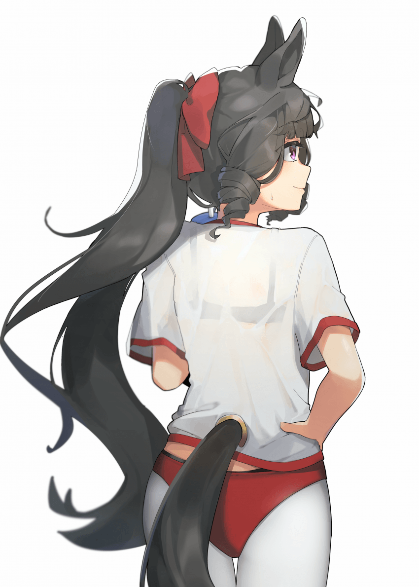 비치는 루비 그림