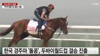 역핫산)2022 코리아컵 - 위너스맨 / 신토불이