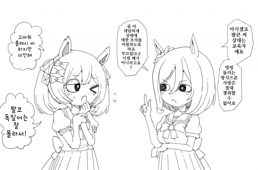 [ダスカスキー4世]플래시의 조언
