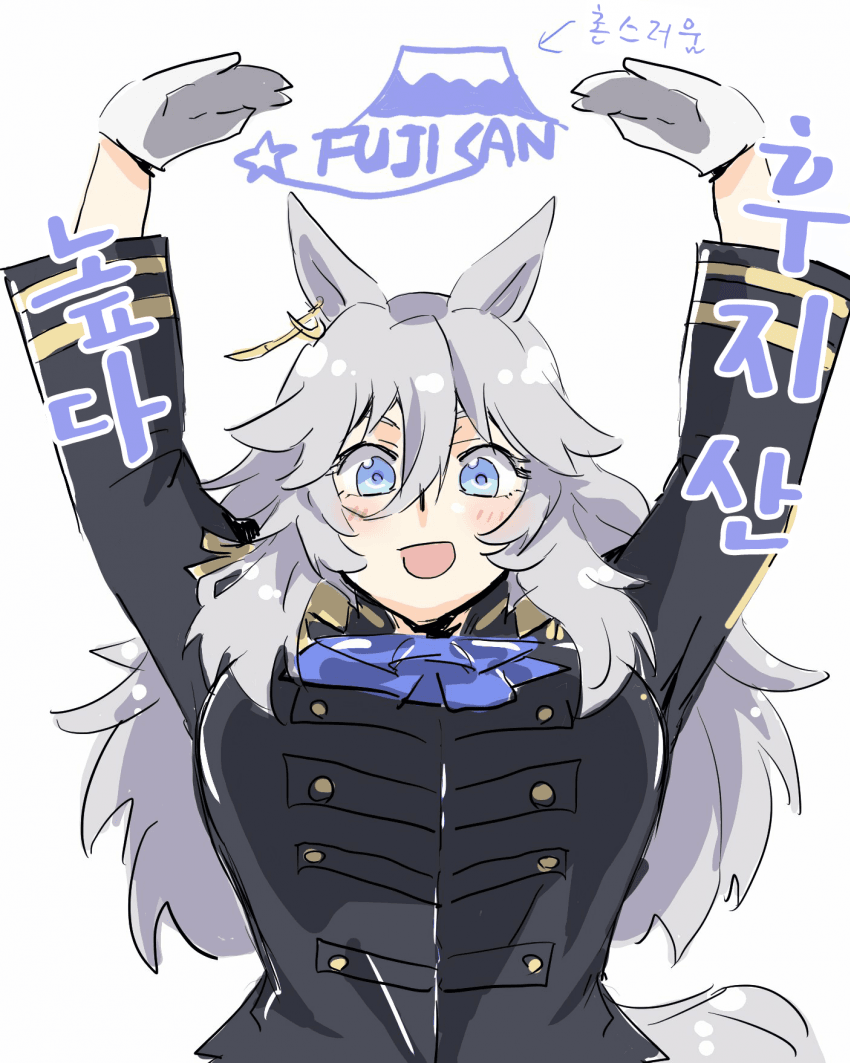 [ほじょ]페리 스팀에게 후지산이란