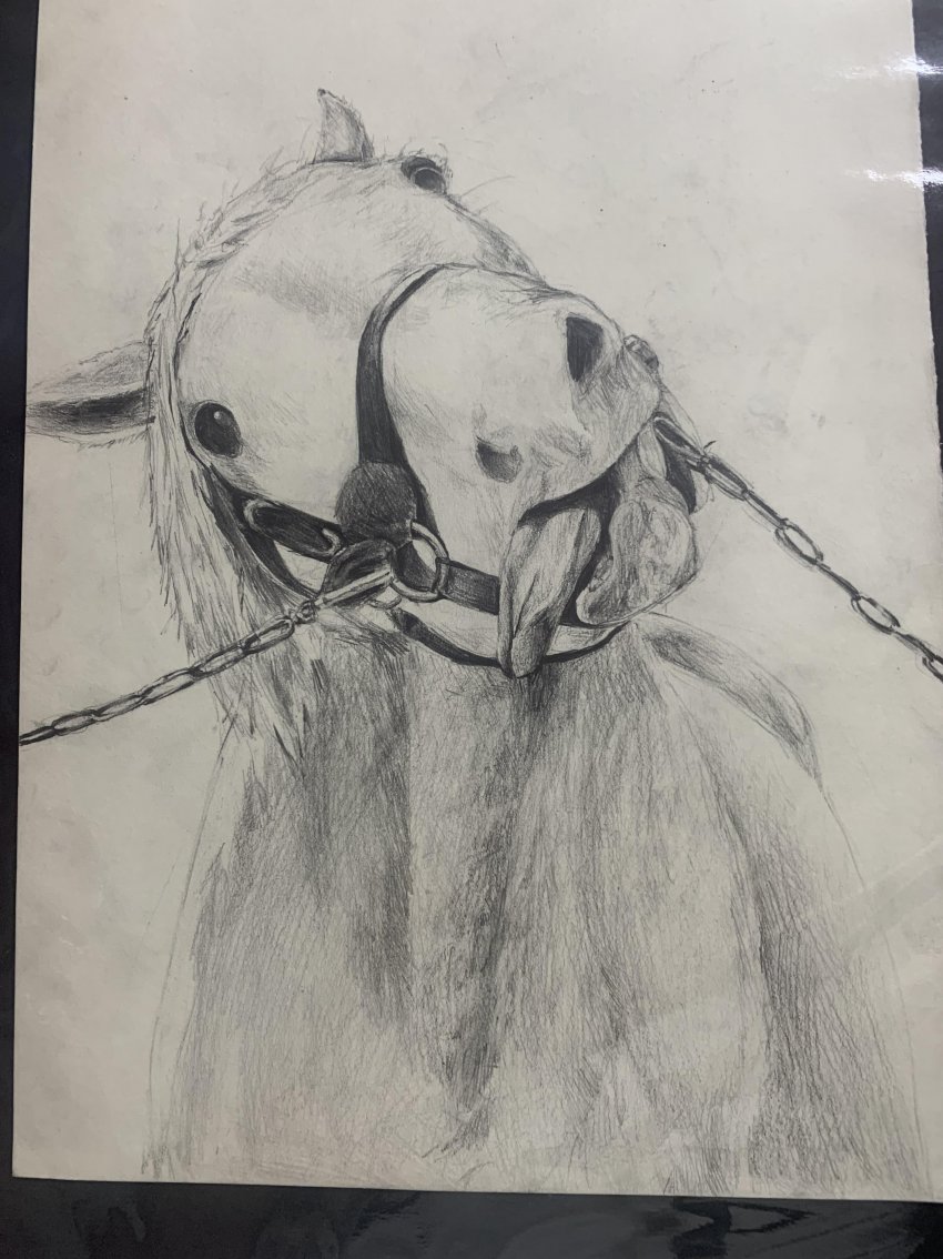 고루시 그림