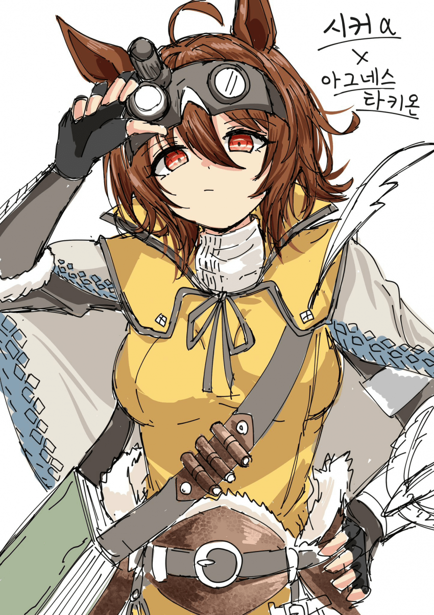 [amaxa]시커a 아그네스 타키온