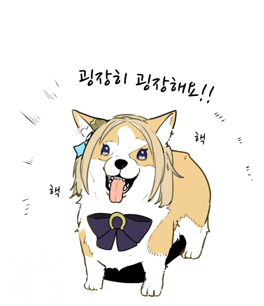 [湯猫子]나리타 탑 코기