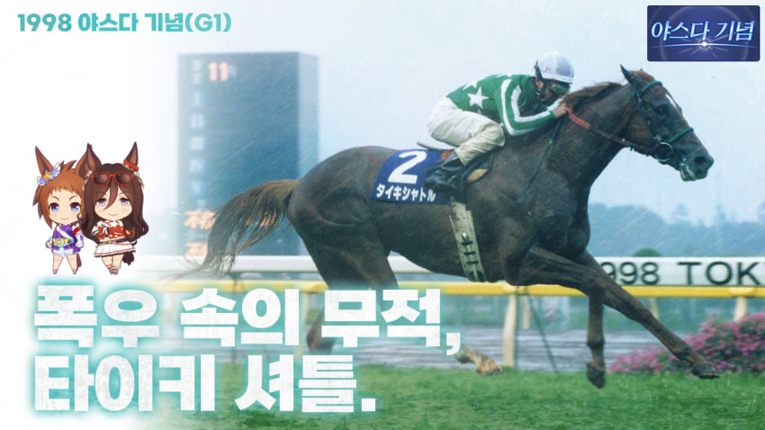 심플한 다음 경마 핫산 썸네일.png