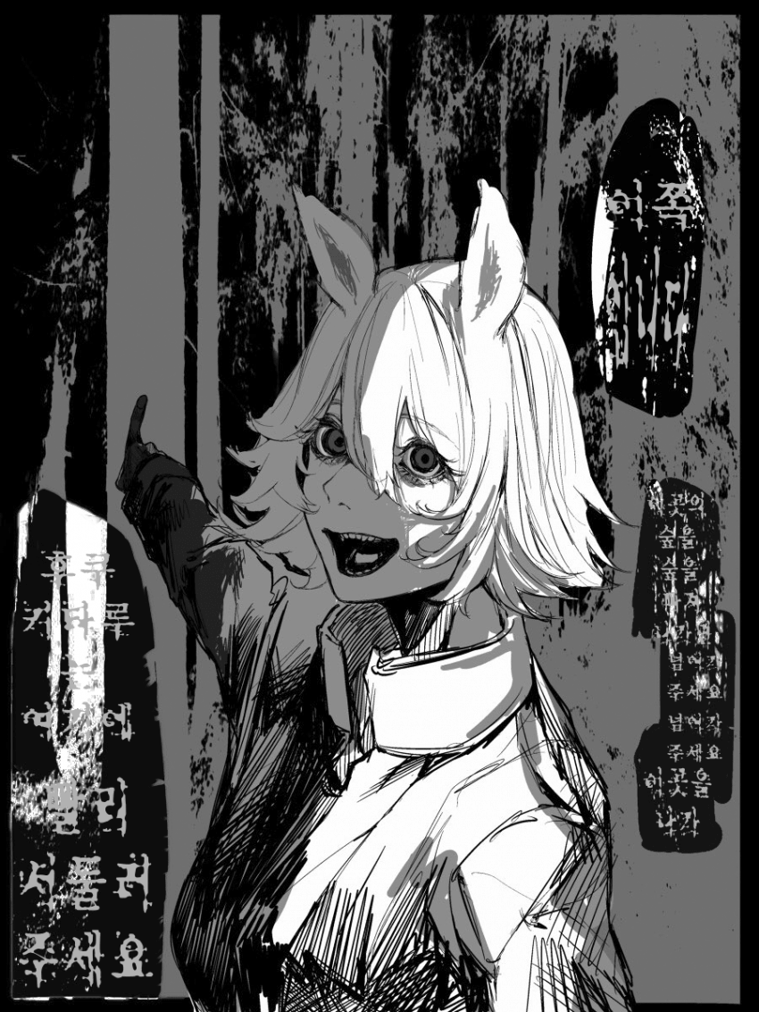 [🐎] 후쿠키타루?