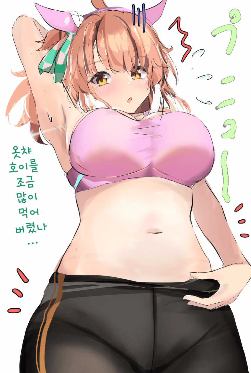 [あらもちゃ]옷챠호이를 너무 많이 먹은 단츠