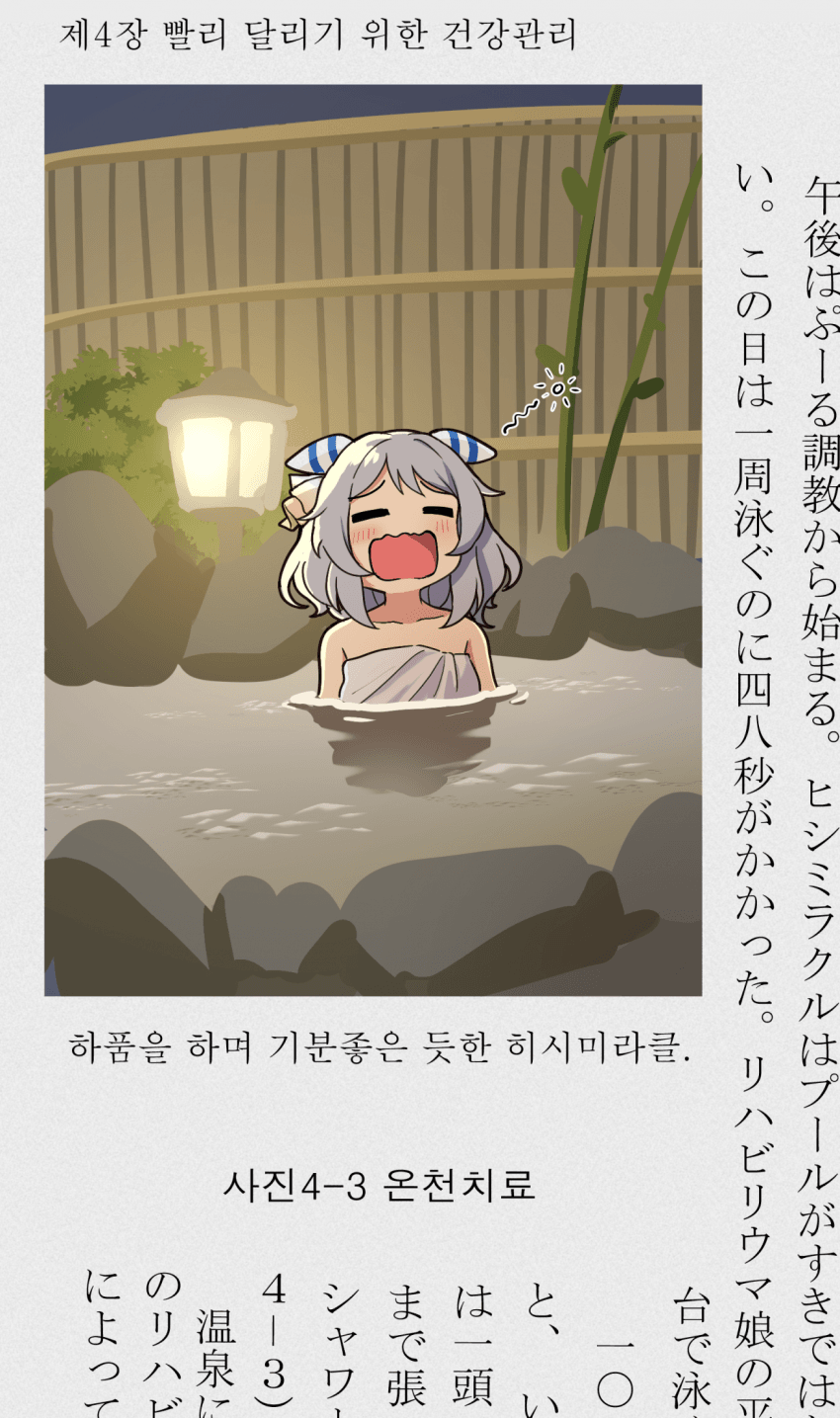 그림) 연구서에 등장한 미라코②