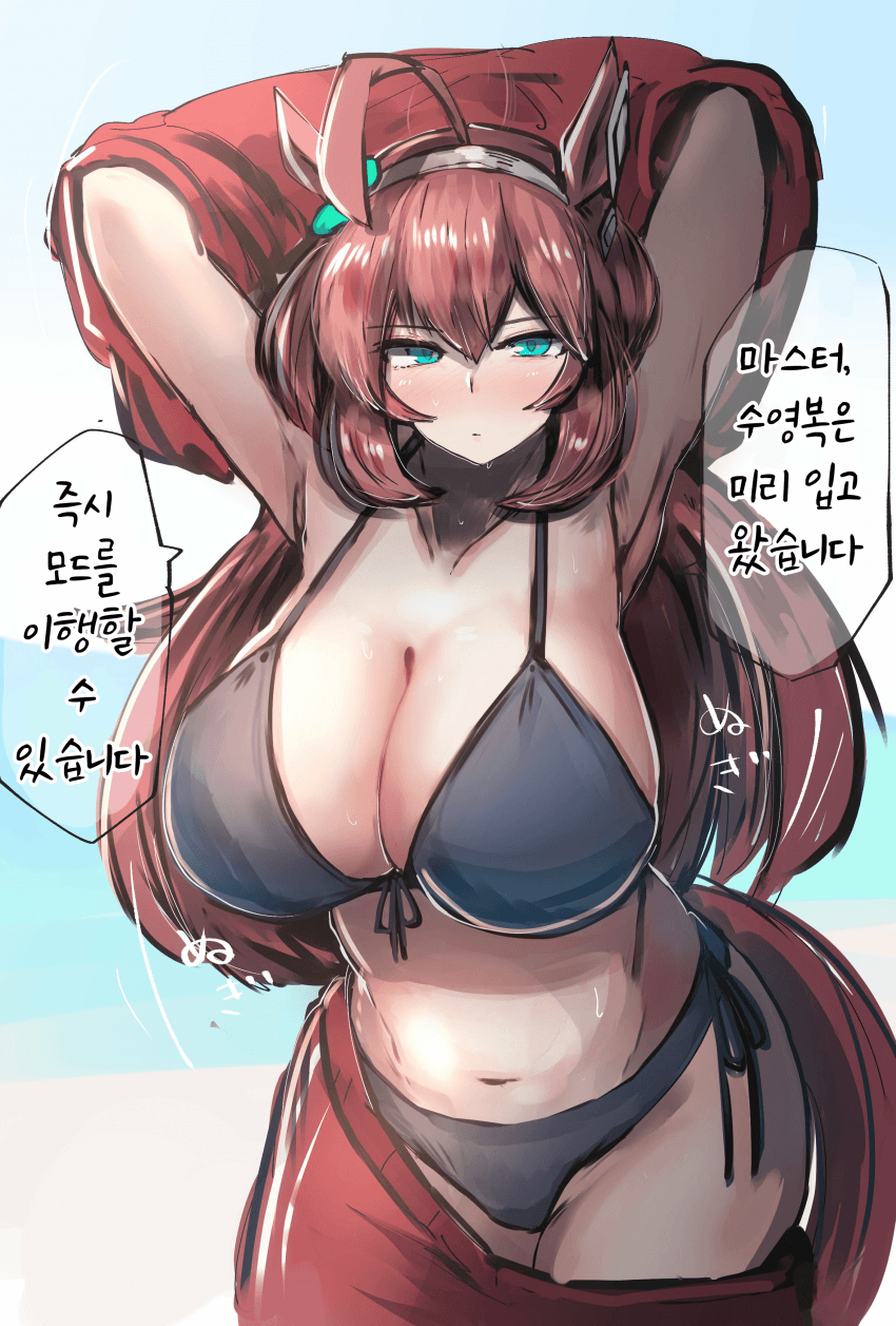 [かにさわ]수영복 부르봉