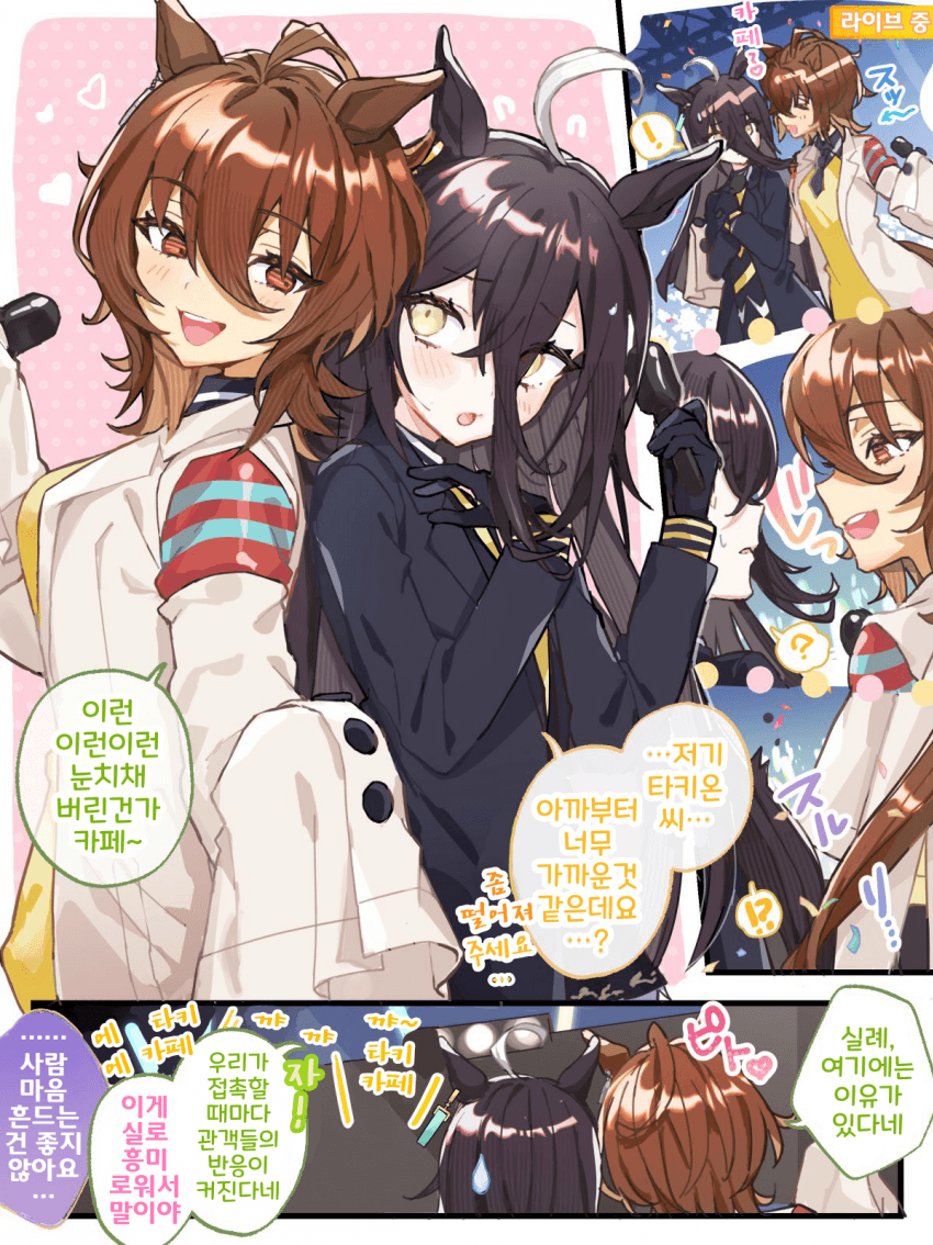 [のちゃ]타키카페...같이 라이브 해줬으면