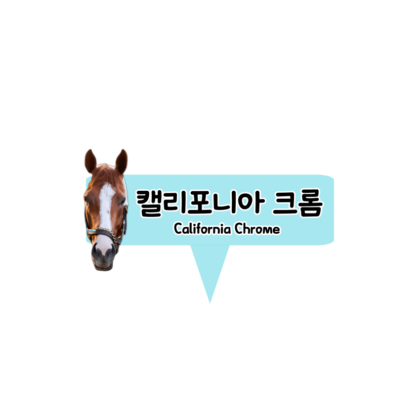 파카라이브 D-day... 오늘도 안전한 서구권 핫산