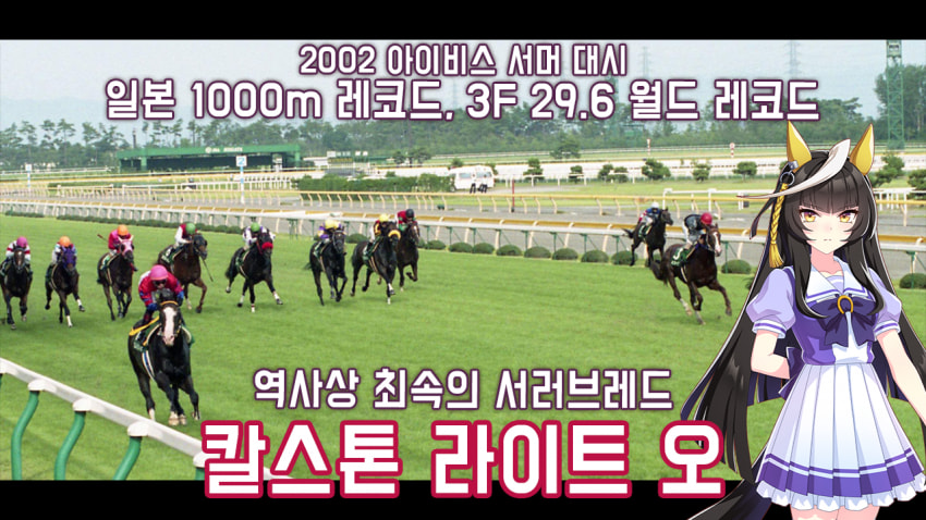 핫산)칼스톤 라이트 오 -02 아이비스서머D 「역사상 최속의 서러브레드」