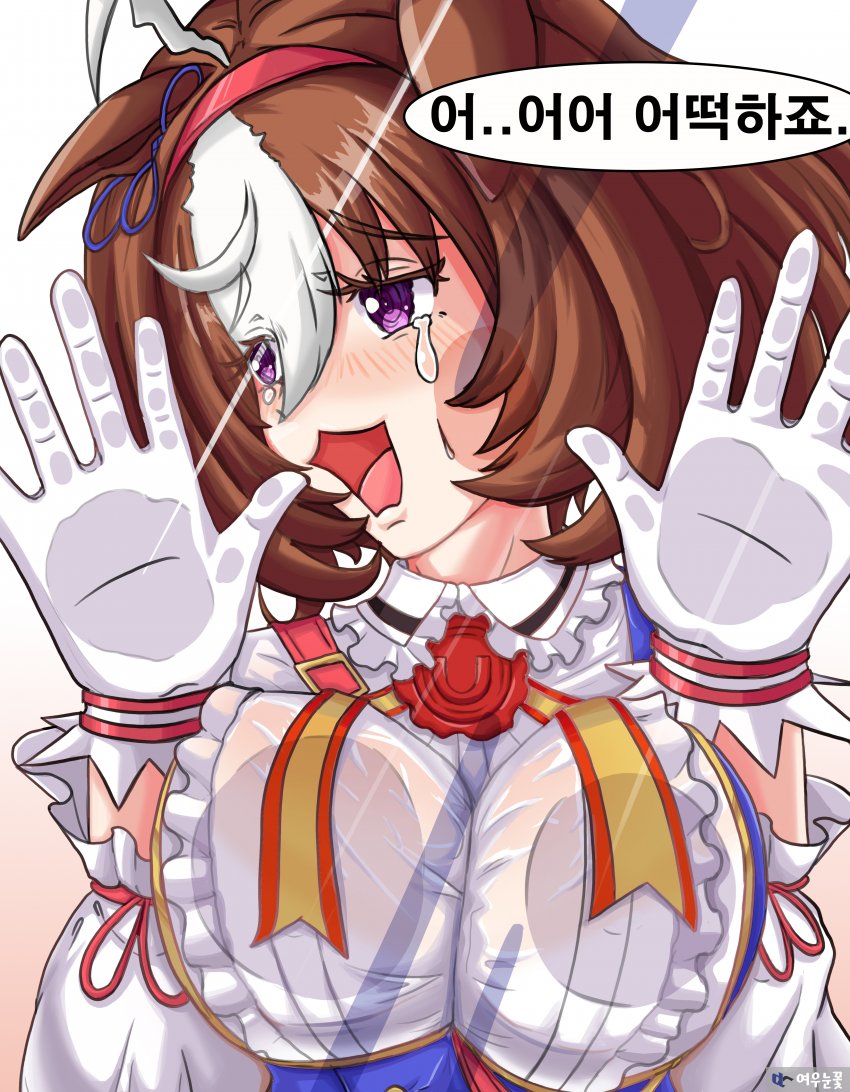 데카말랑 도토짱
