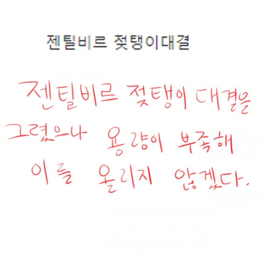 커미션 모음