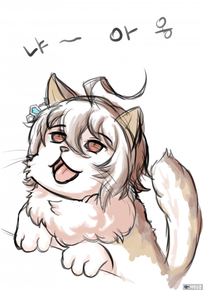 고양이 타키온.