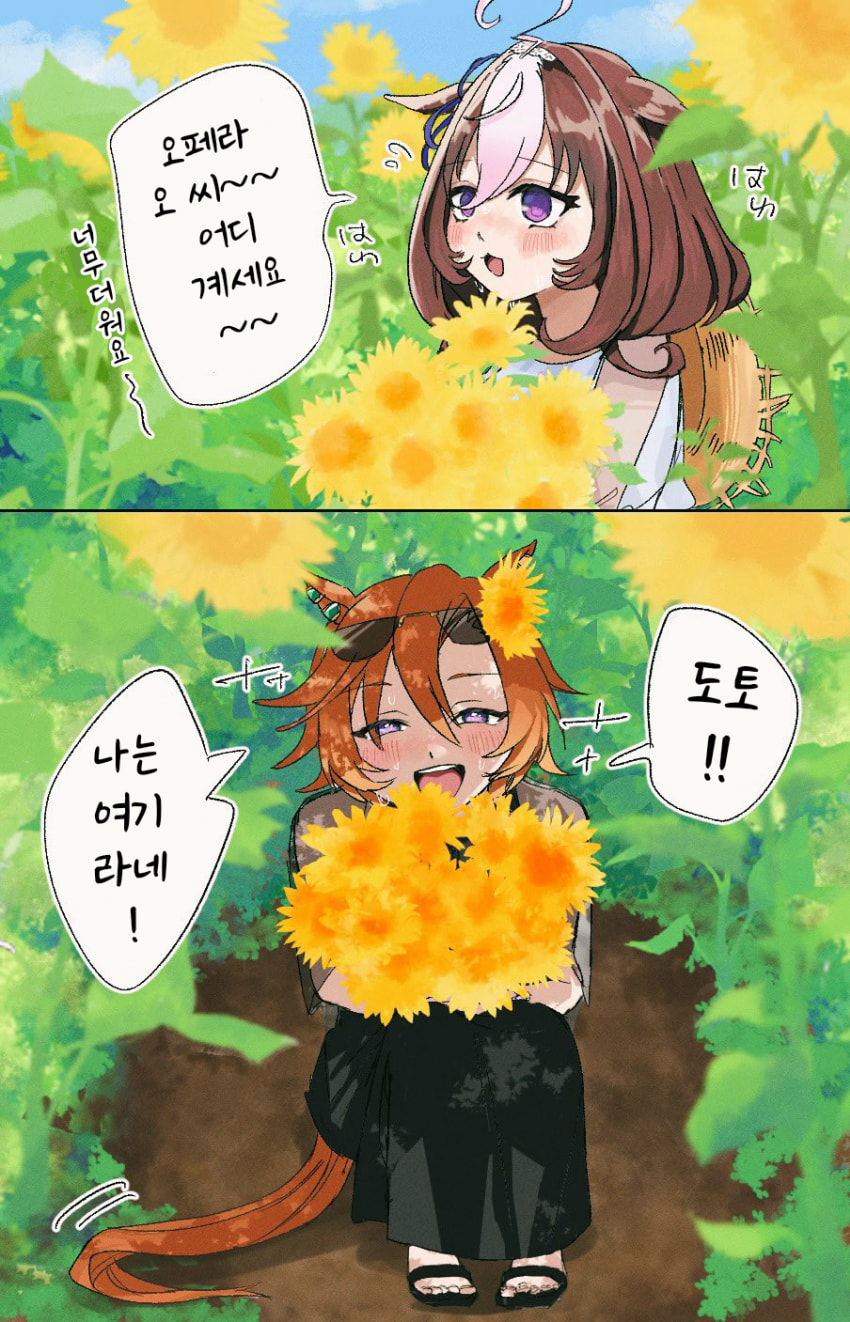 [ｴﾌﾋﾟ]해바라기 밭의 도토오페