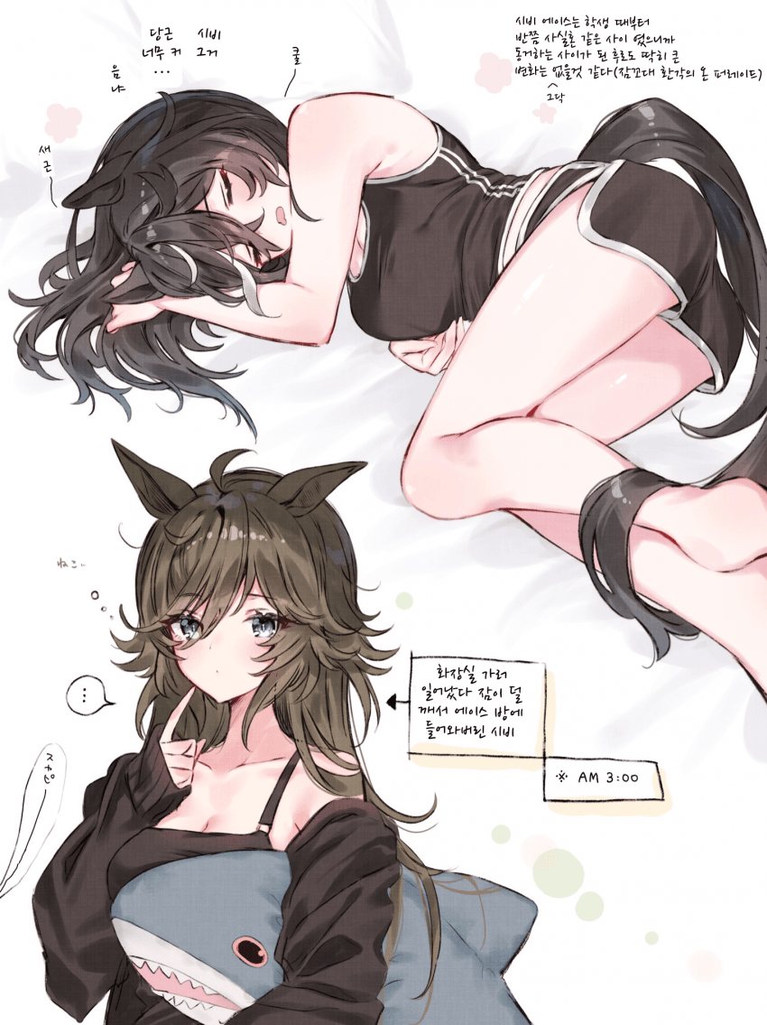 [てとら]시비 에이스의 잠자리